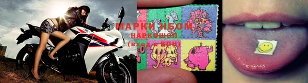 гидра Корсаков
