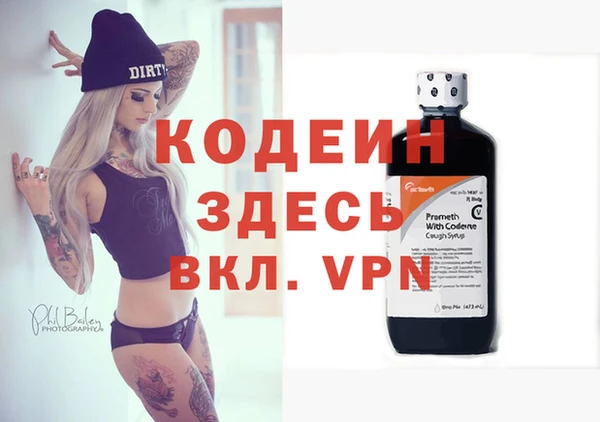 гидра Корсаков