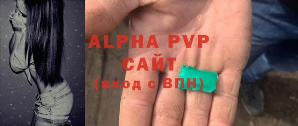 гидра Корсаков