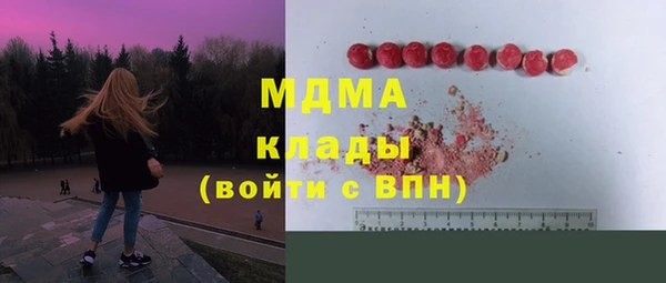 гидра Корсаков