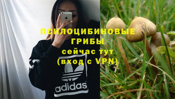 меф VHQ Козловка
