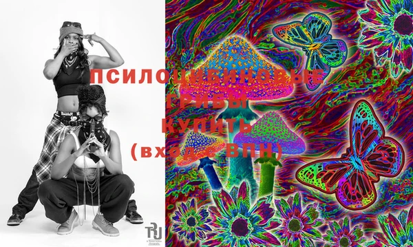 ПСИЛОЦИБИНОВЫЕ ГРИБЫ Костерёво