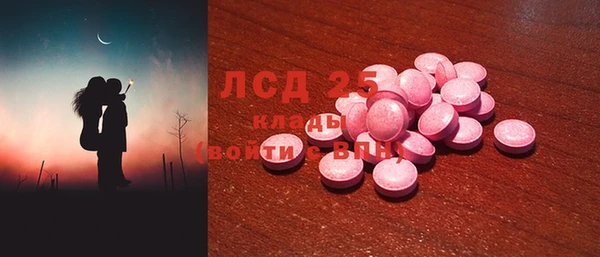 гидра Корсаков