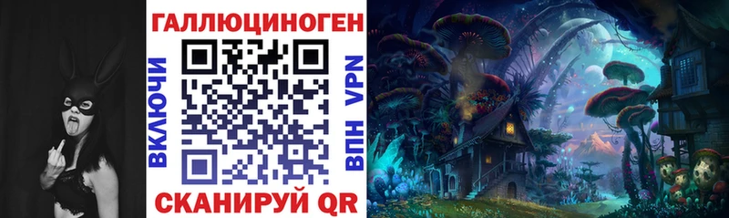 закладка  Сосновый Бор  Галлюциногенные грибы мицелий 