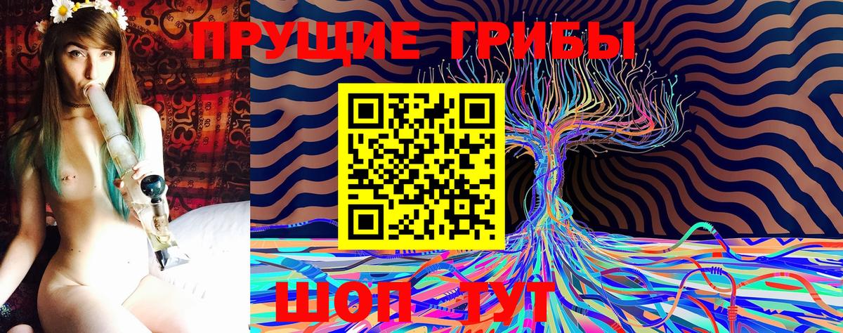 Сосновый Бор  Галлюциногенные грибы GOLDEN TEACHER  Вход с VPN  Галлюциногенные грибы мицелий 