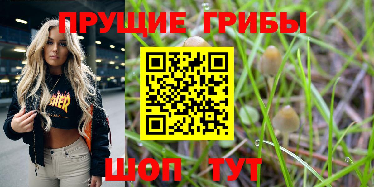 Псилоцибиновые грибы Magic Shrooms Сосновый Бор